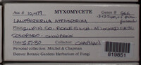 Image Associated With the Occurence